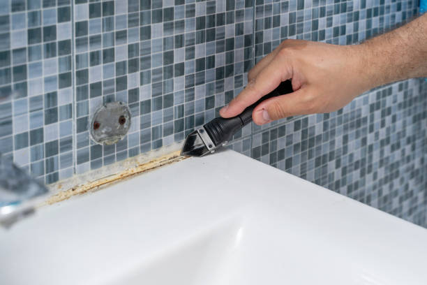Best DIY Mold Remediation Support Services in Dickinson, TX