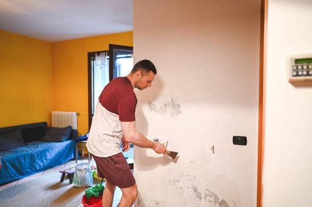 Best Residential Mold Remediation in Dickinson, TX